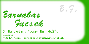 barnabas fucsek business card